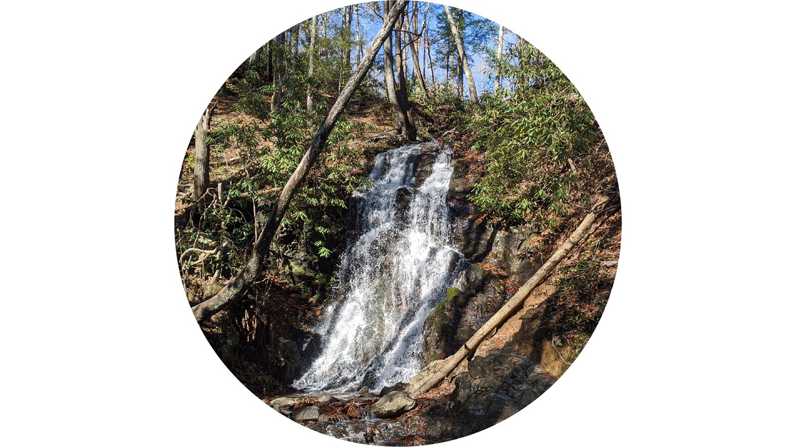 Cataract Falls surrounded by green forest