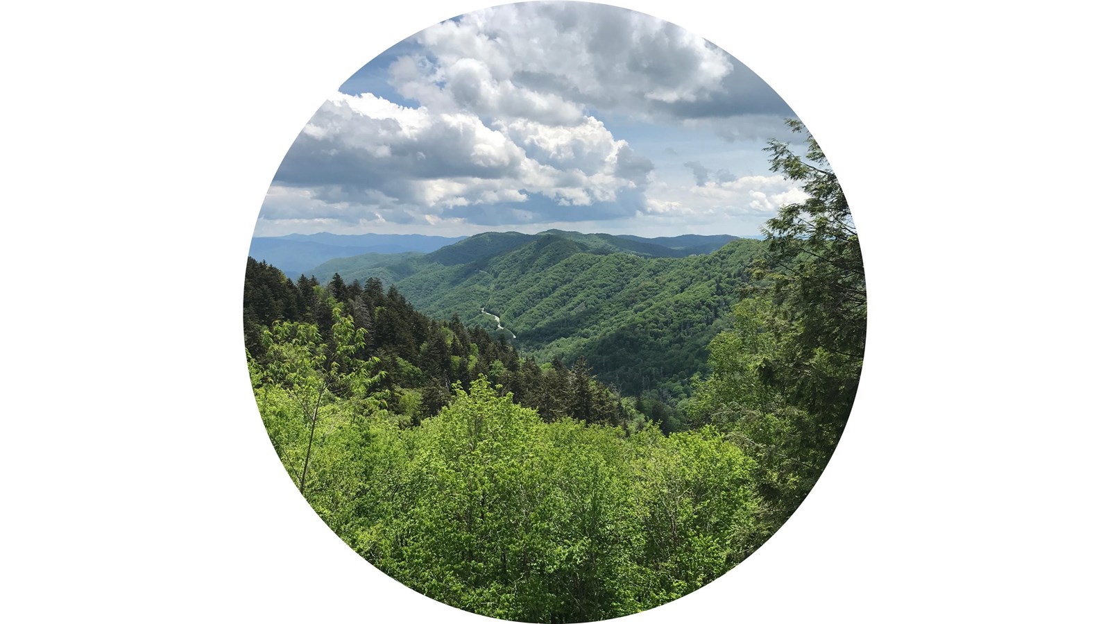 Layered mountain ridges viewed from Newfound Gap