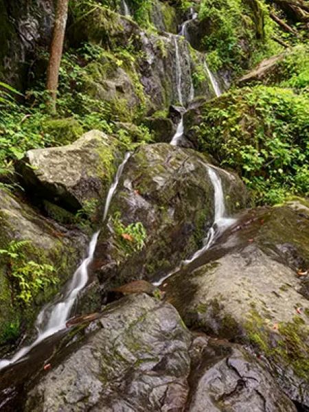 Place of a Thousand Drips beside Roaring Fork Motor Nature Trail